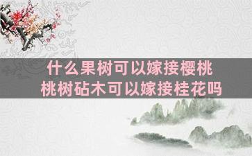 什么果树可以嫁接樱桃 桃树砧木可以嫁接桂花吗